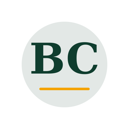 Brna Chimney Services logo